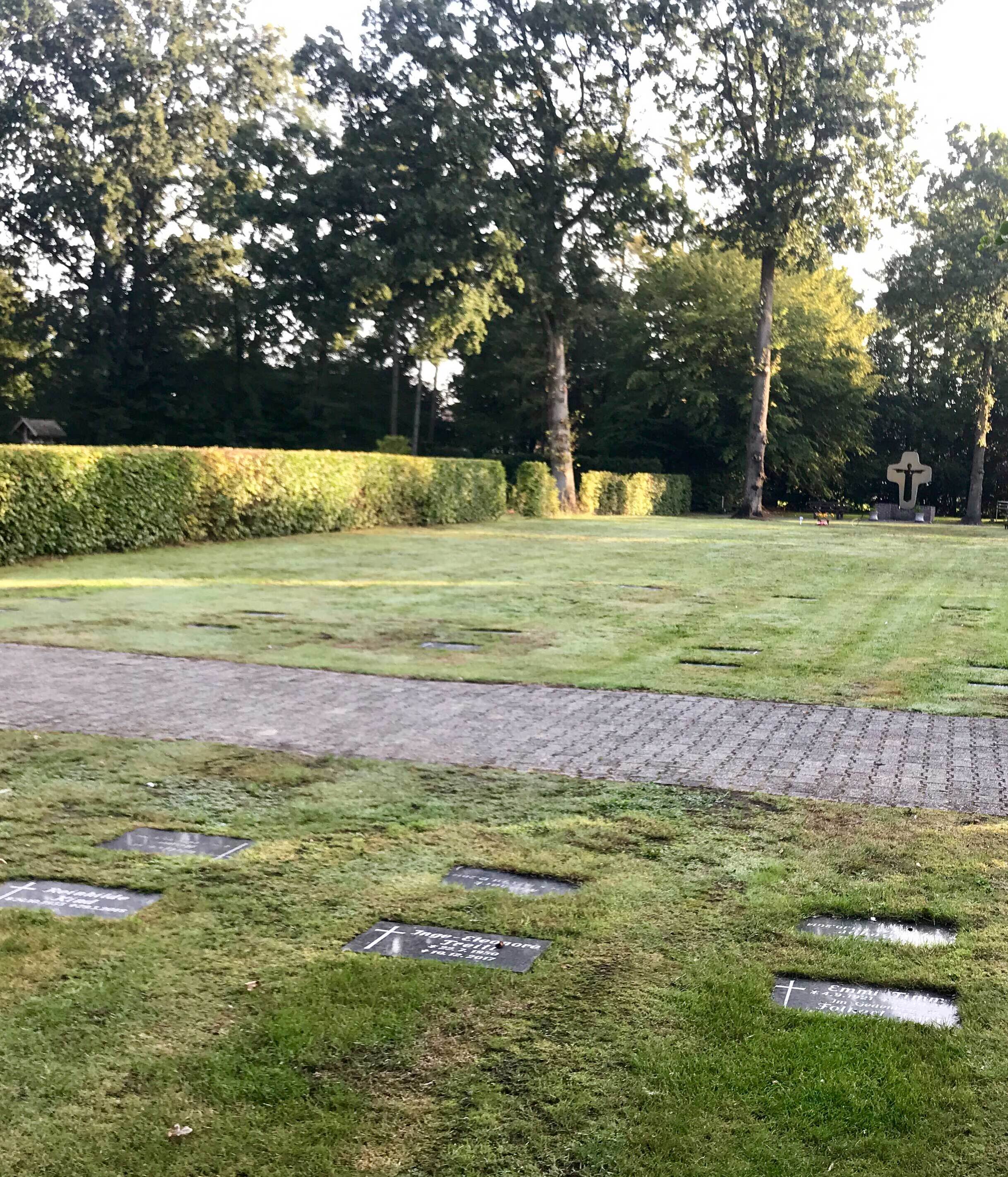 Beispiel von Rasengrabflächen auf dem neuen Friedhofsteil