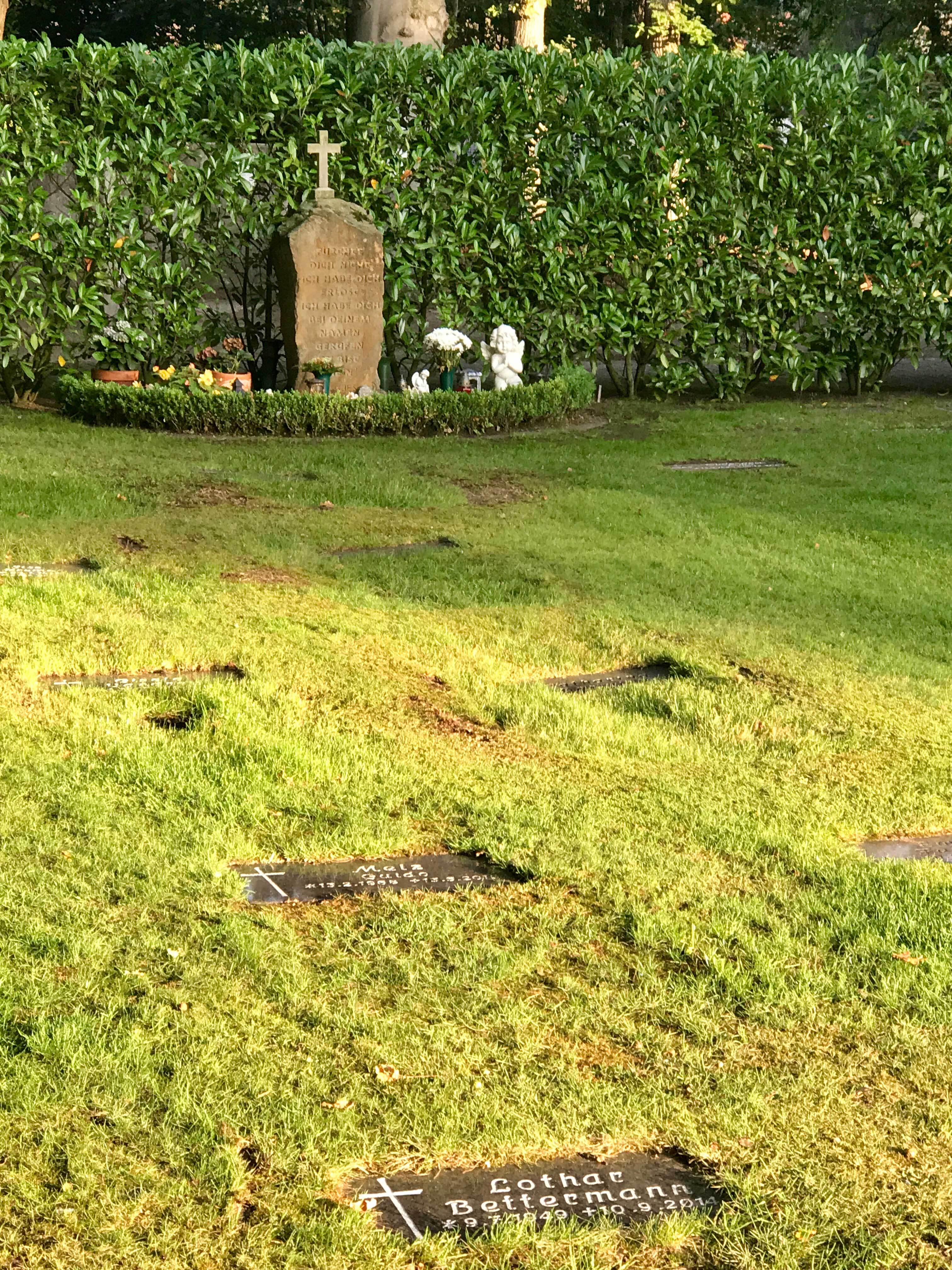 Beispiel von Rasengrabflächen auf dem alten Friedhofsteil
